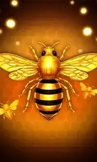 Royal Beellion Hold And Win